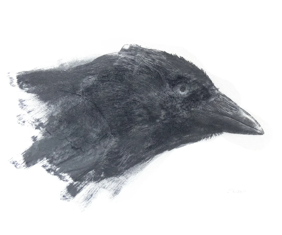 Head of the Magical Magpie Head