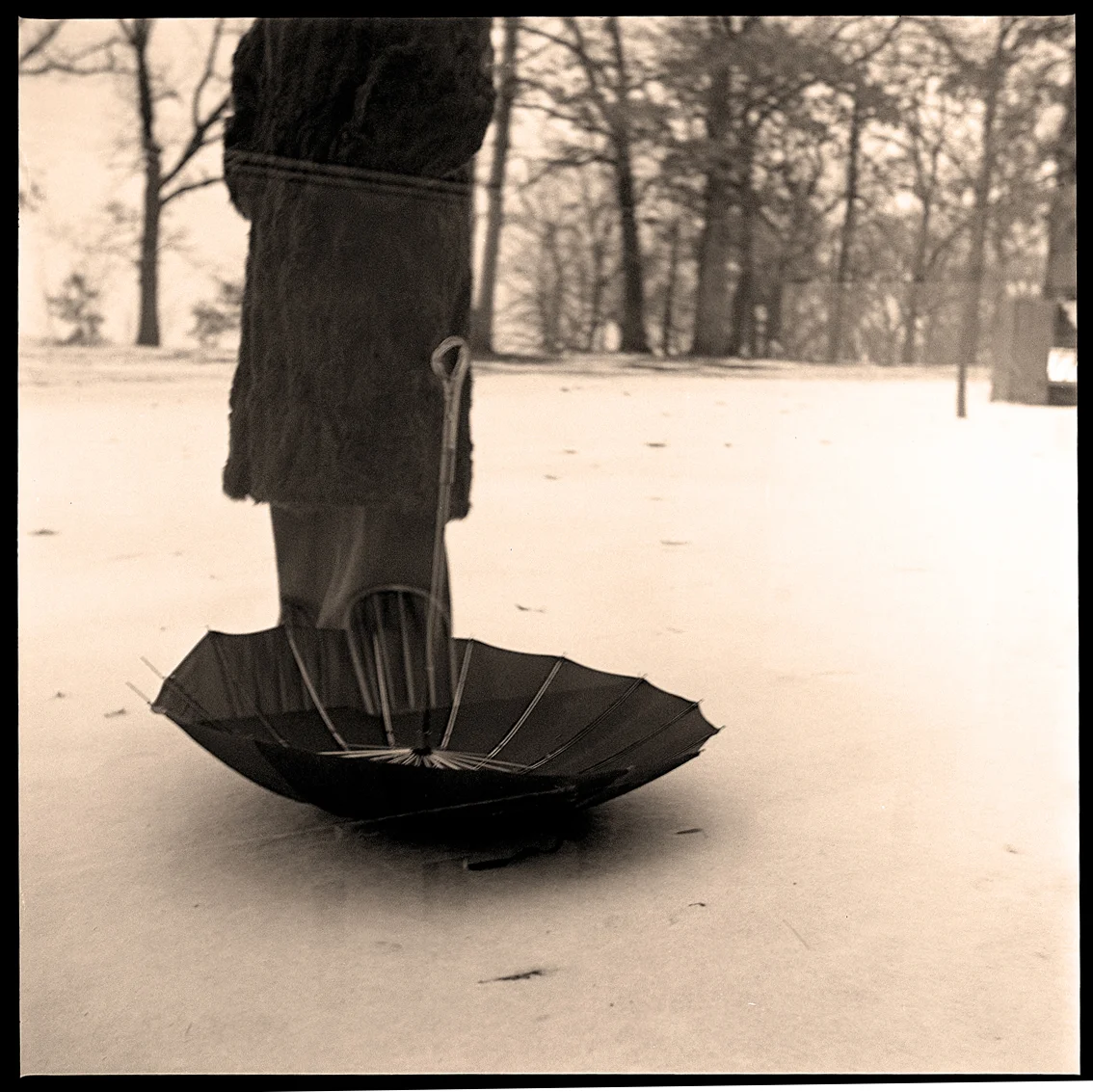 Umbrella