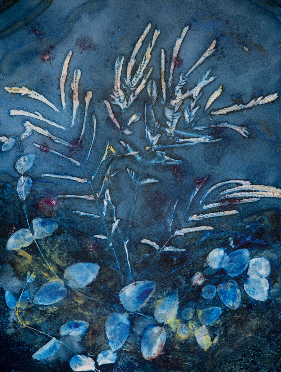 Under Water Fantasy