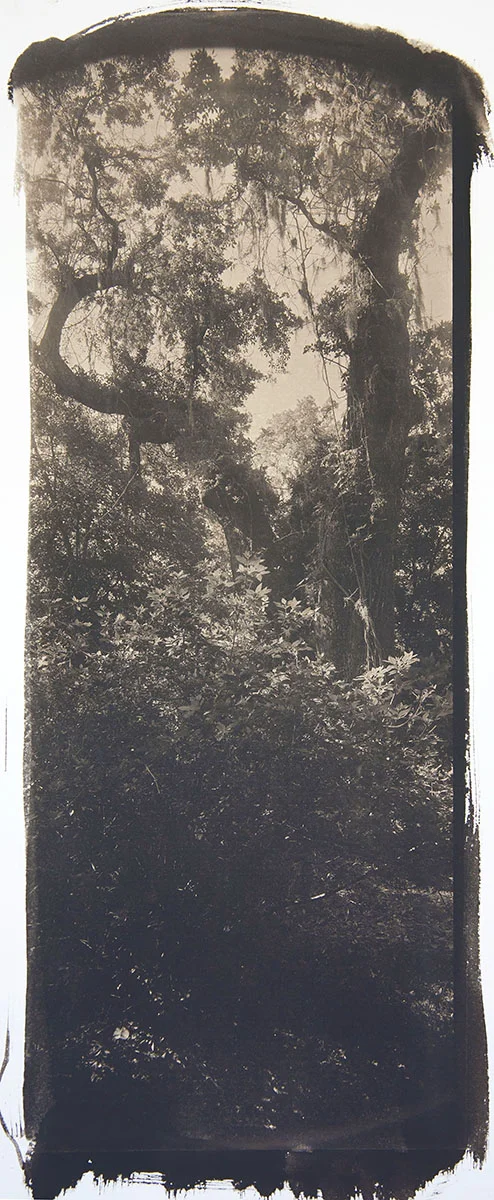 Hampton, Spring