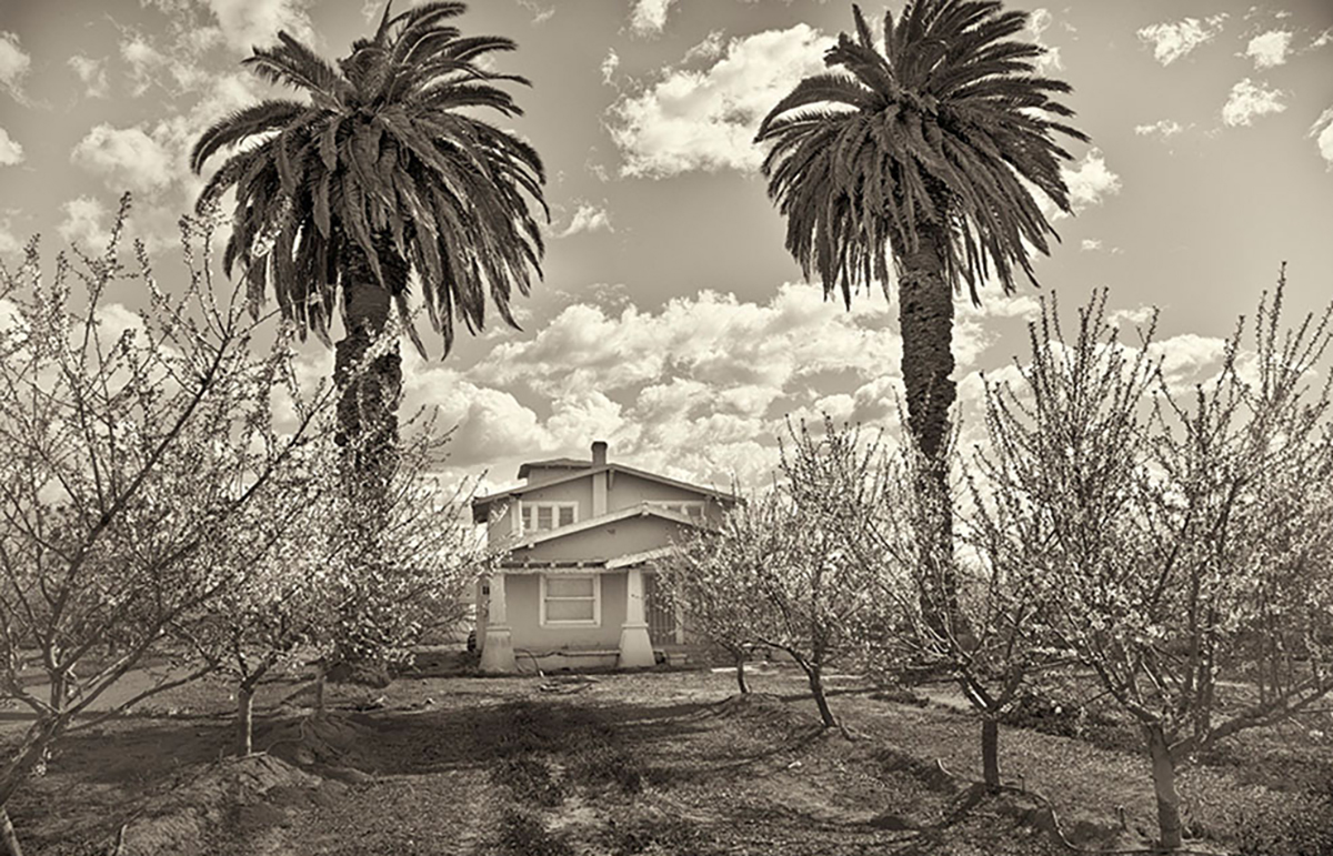 Dale Road, Spring