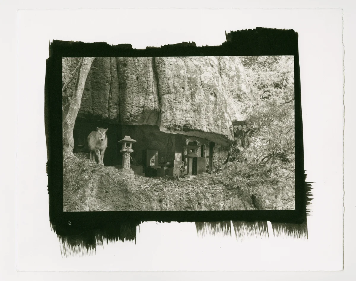 Joseph Klein platinum palladium print included in one of his books www.skipkleinphoto.com