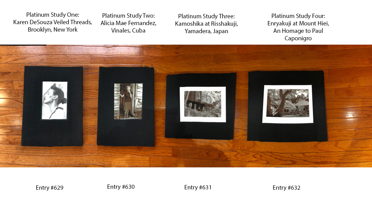 Joseph Klein Submission of 4 Handmade Accordion books containing platinum palladium prints This photo is of each book and their titles. The following photos are detail photos of how the book looks extended and examples of the prints they contain. Each book measure to about 15 x 19 inches and extends to 15 feet. Entries #629-#632 File names klein_skip_1-5 www.skipkleinphoto.com