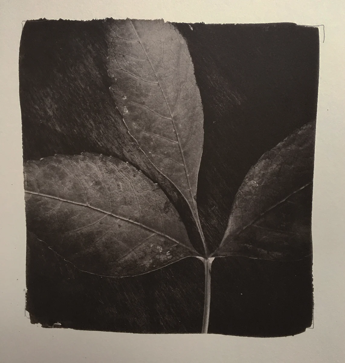 Simple Leaf