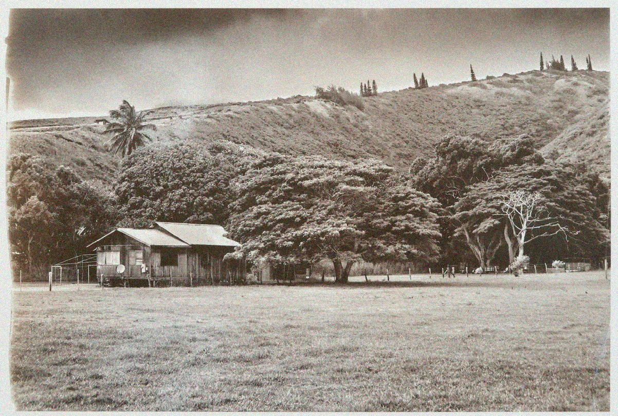 Hiding Out on Molokai