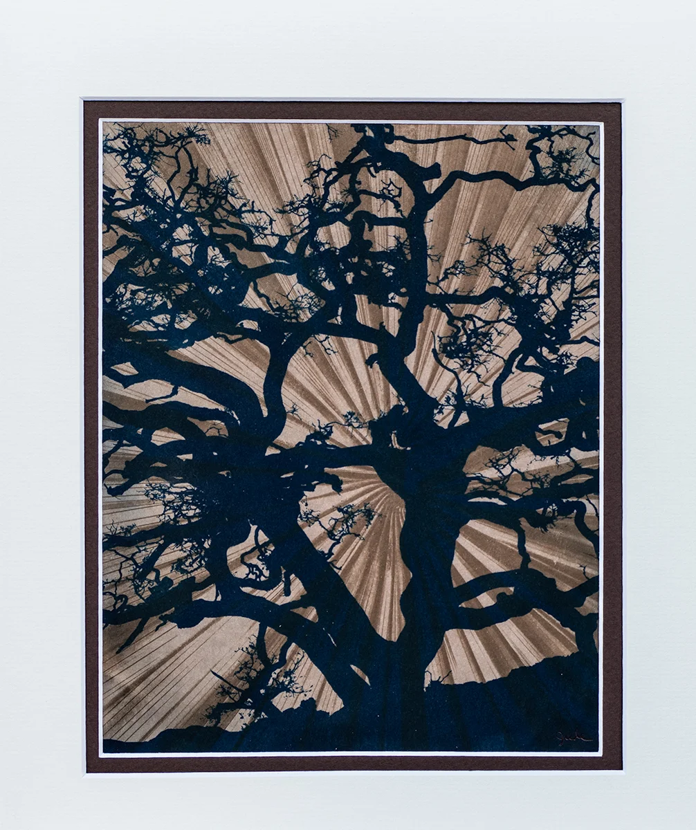 Tree Woman Running towards the Sun