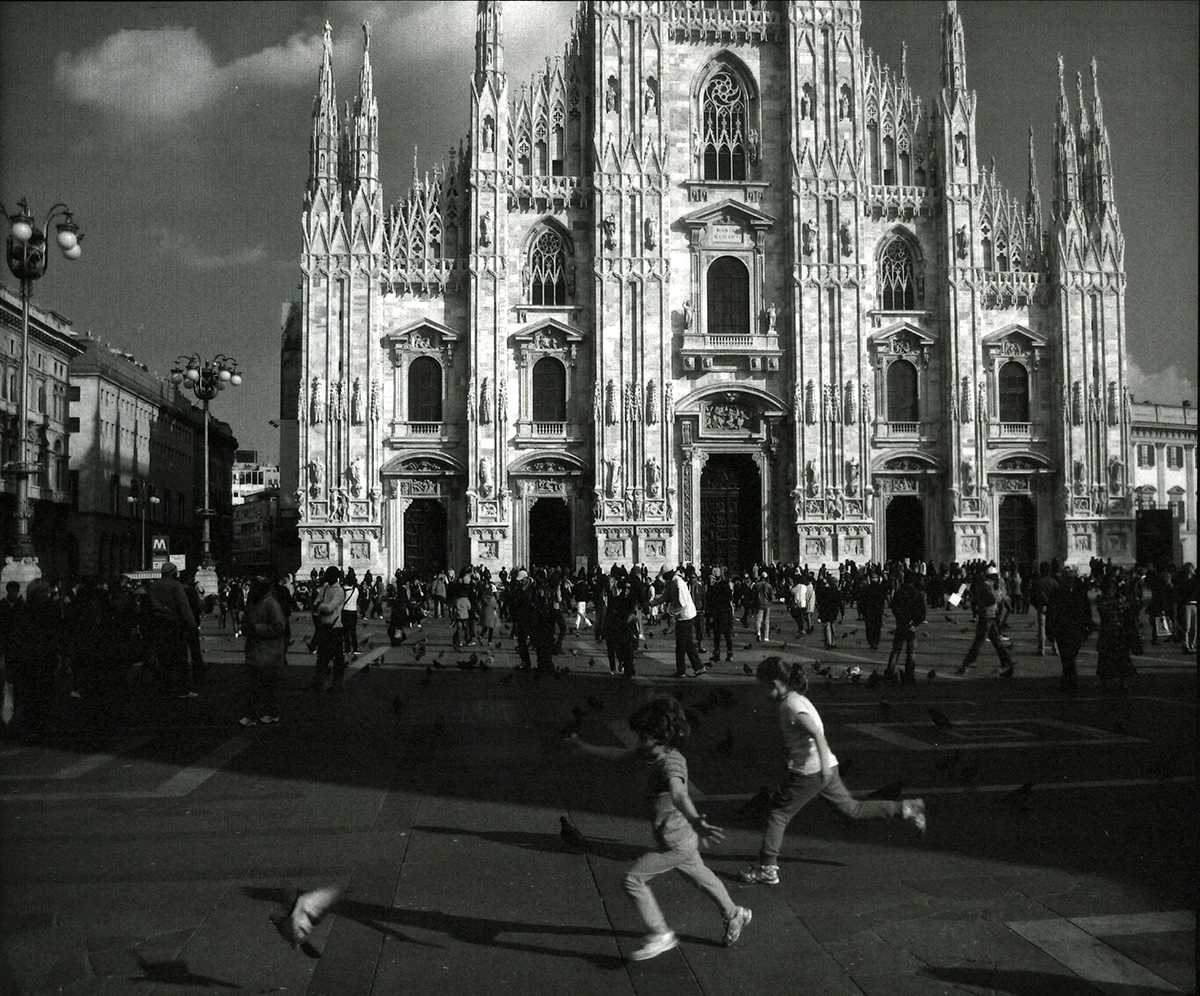 Chasing Pigeons