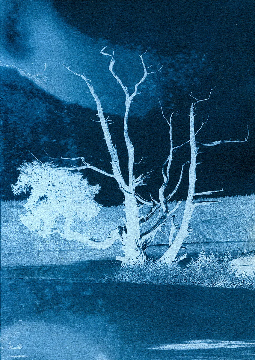 Moonlight, Anacortes