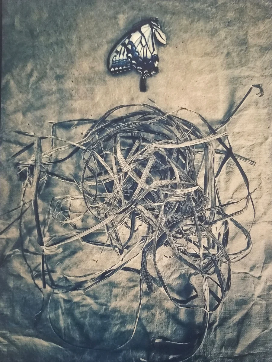 Gossamer-Winged, 2019 (Limited Edition, 1/5)