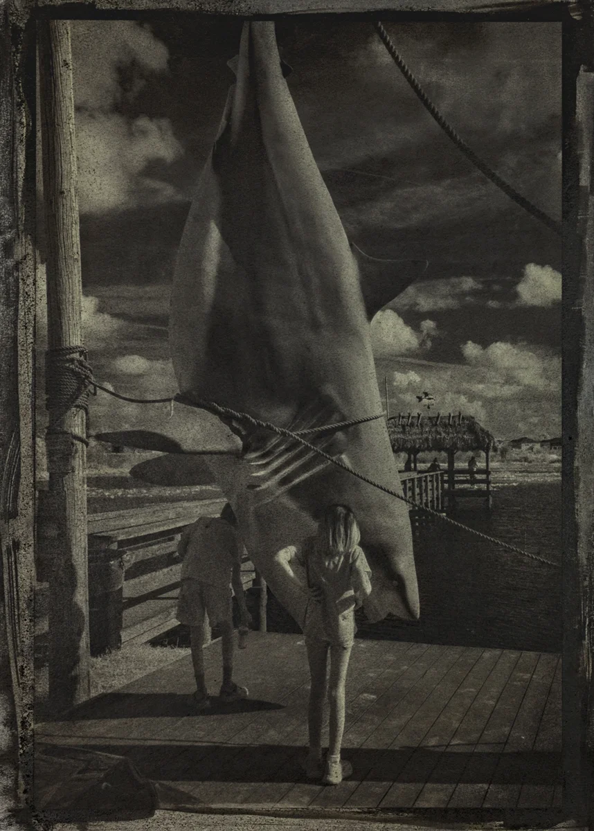 Inspecting the catch