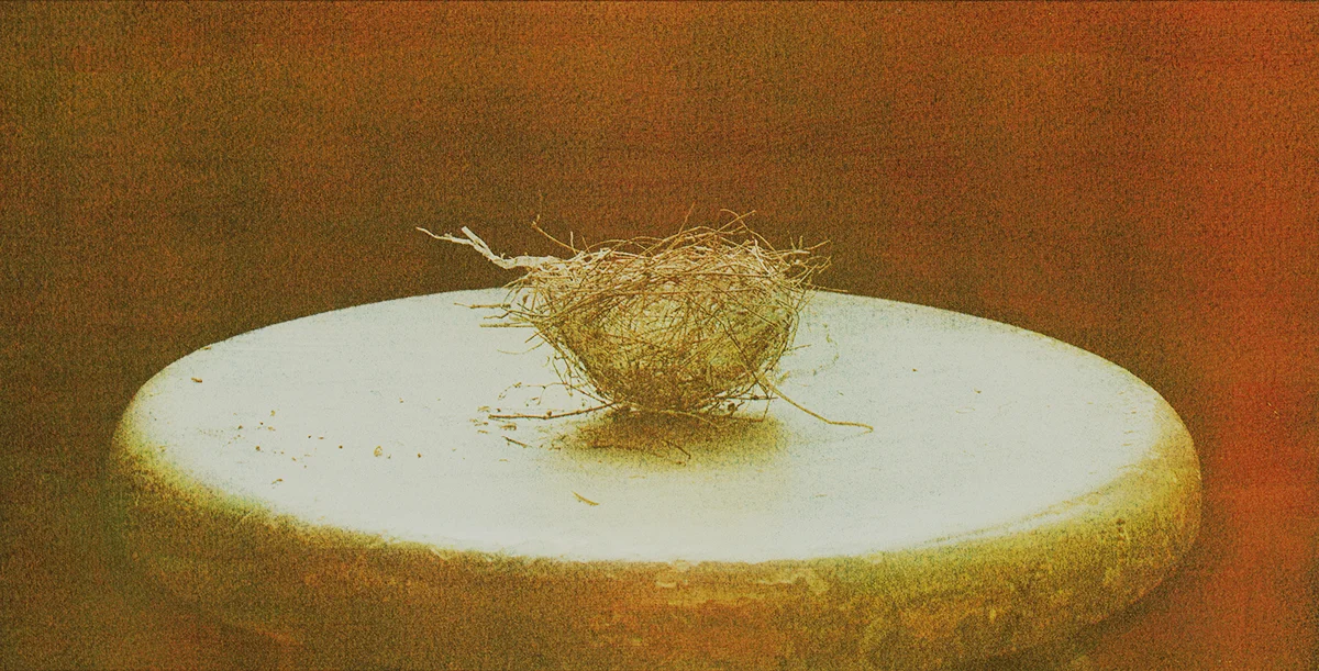 Wagner Nest