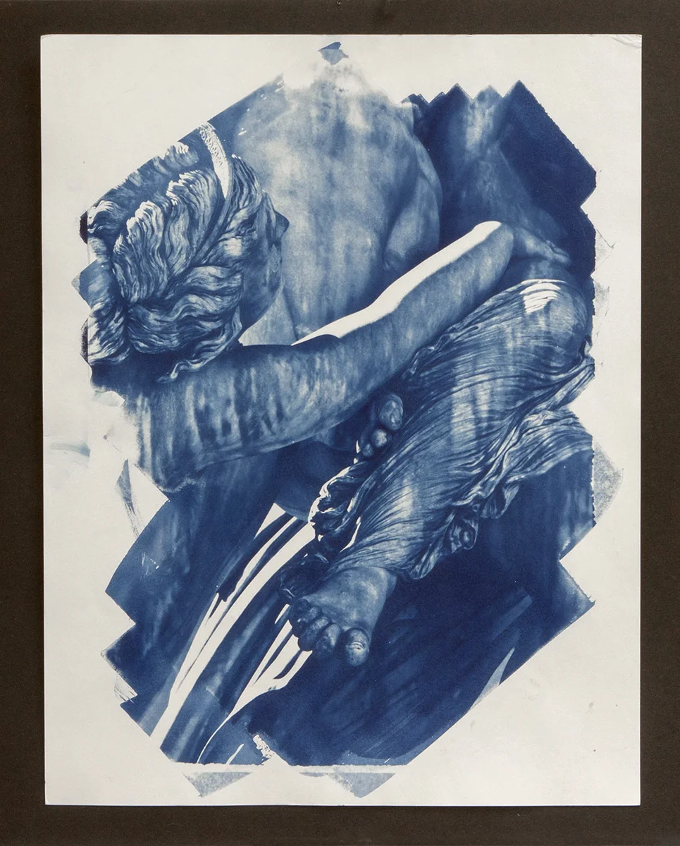 Maxine Chelini Cyanotype “Images range between 11 - 14 inches on the long side” NFS chelini_maxine_1, entry #1067