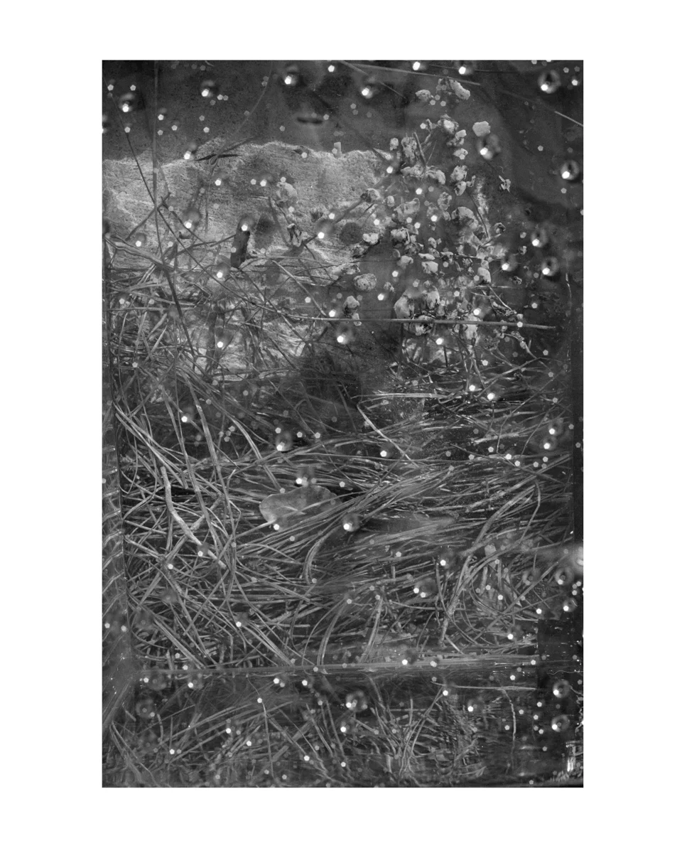 In Which I Find Myself Amidst the Soil #3