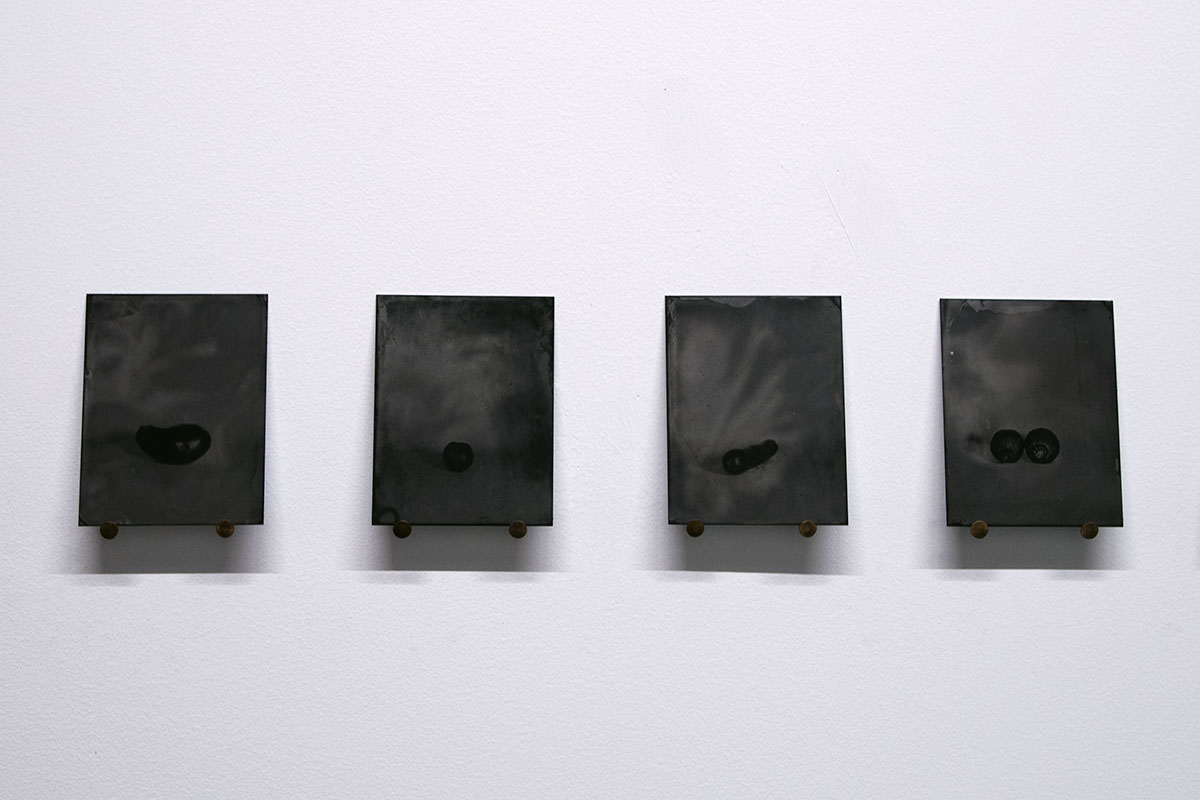 Fructus (piece with installation)
