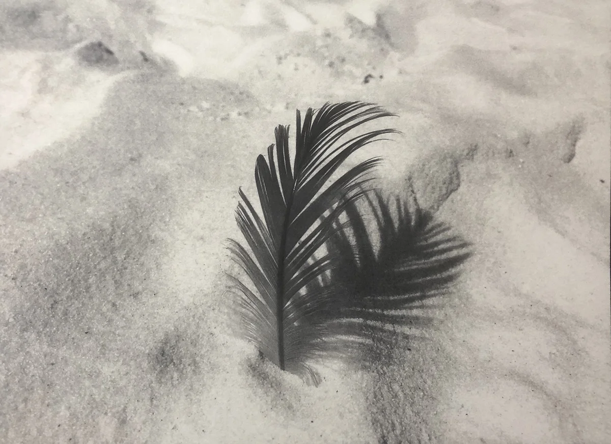 Feather