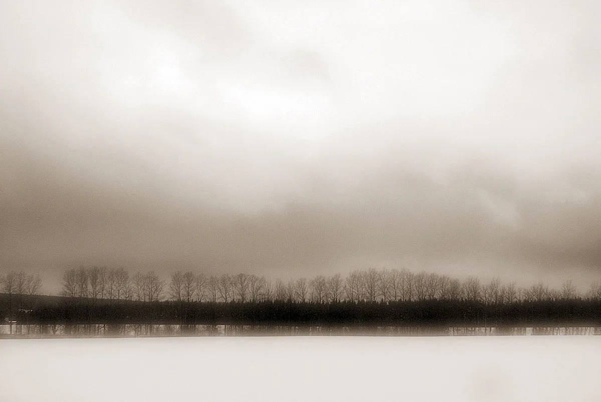 Tree Line