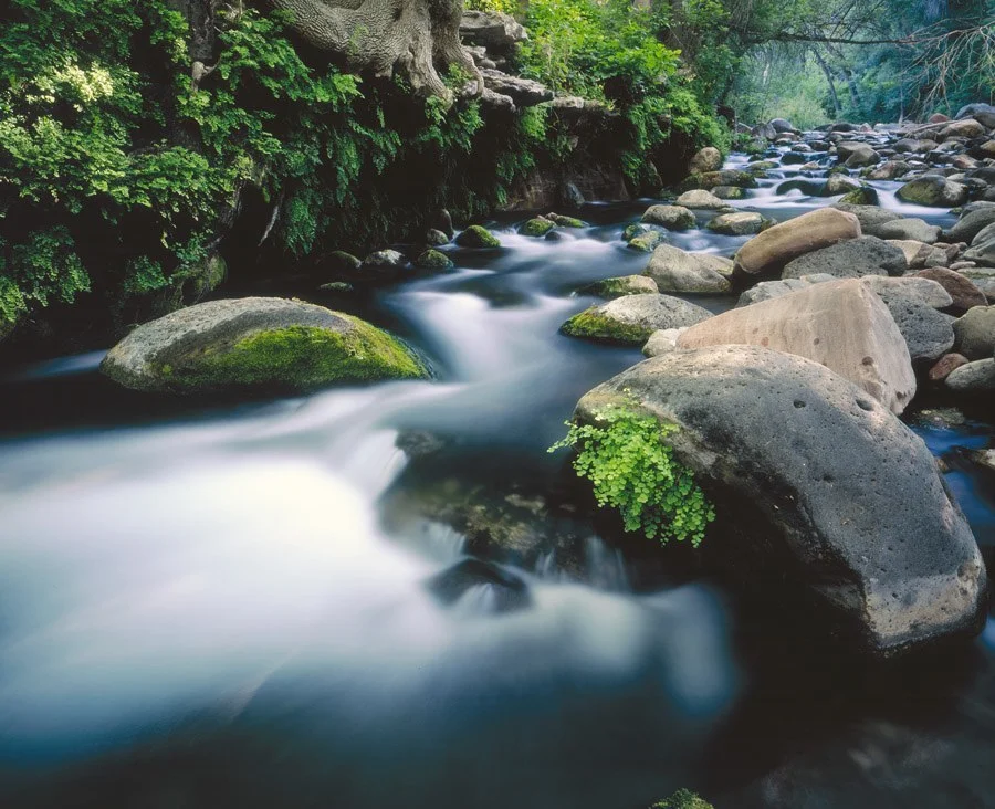 "Vialnyucha" (Fossil Creek)