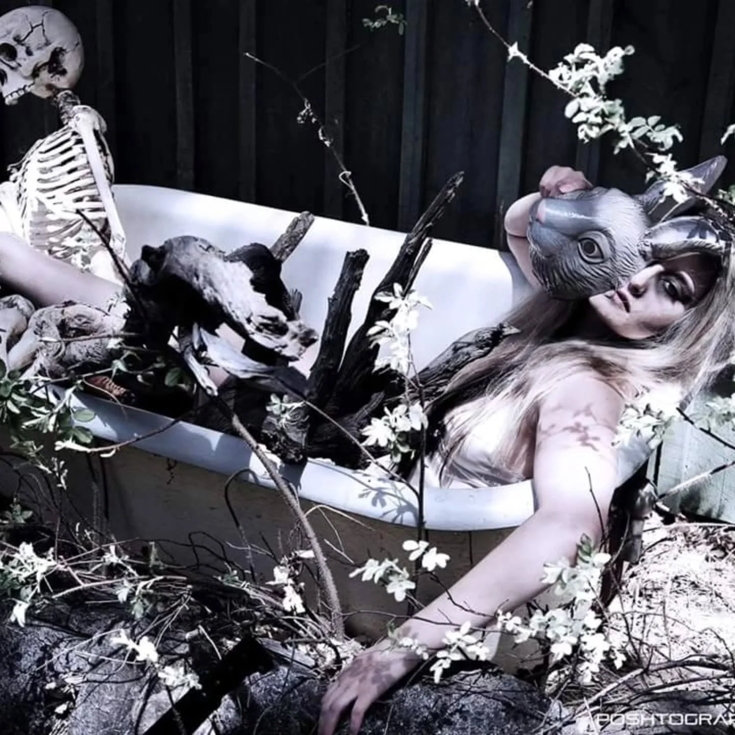 Because Photography &amp; artistry lend together! Happy Spooky season again 🙌🏻 
. 
@poshtographyfashionarts
Model: @nicki_burke_
.
.
.
#sexyrabbit
#halloweenstyling
#coloradophotographer 
#spookyphotoshoots
#styledphotos