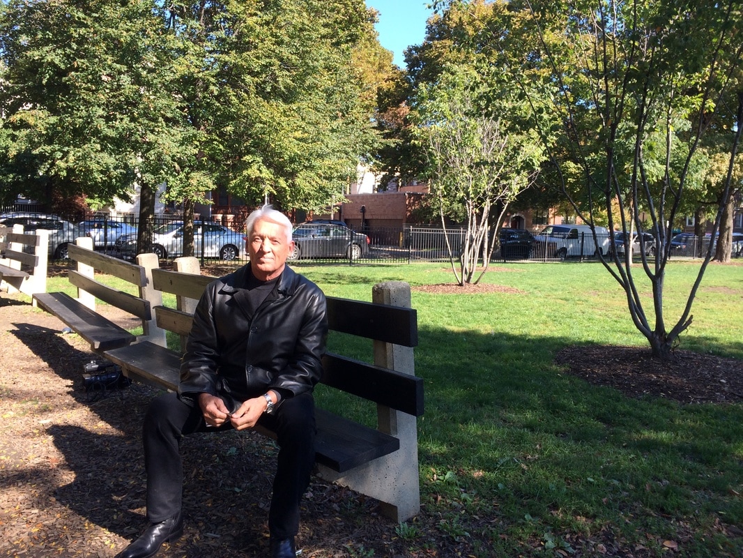 A bench in Hamlin Park