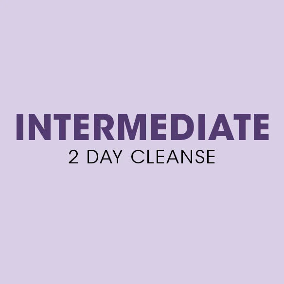 3 Day VJG Cleanse: Intermediate