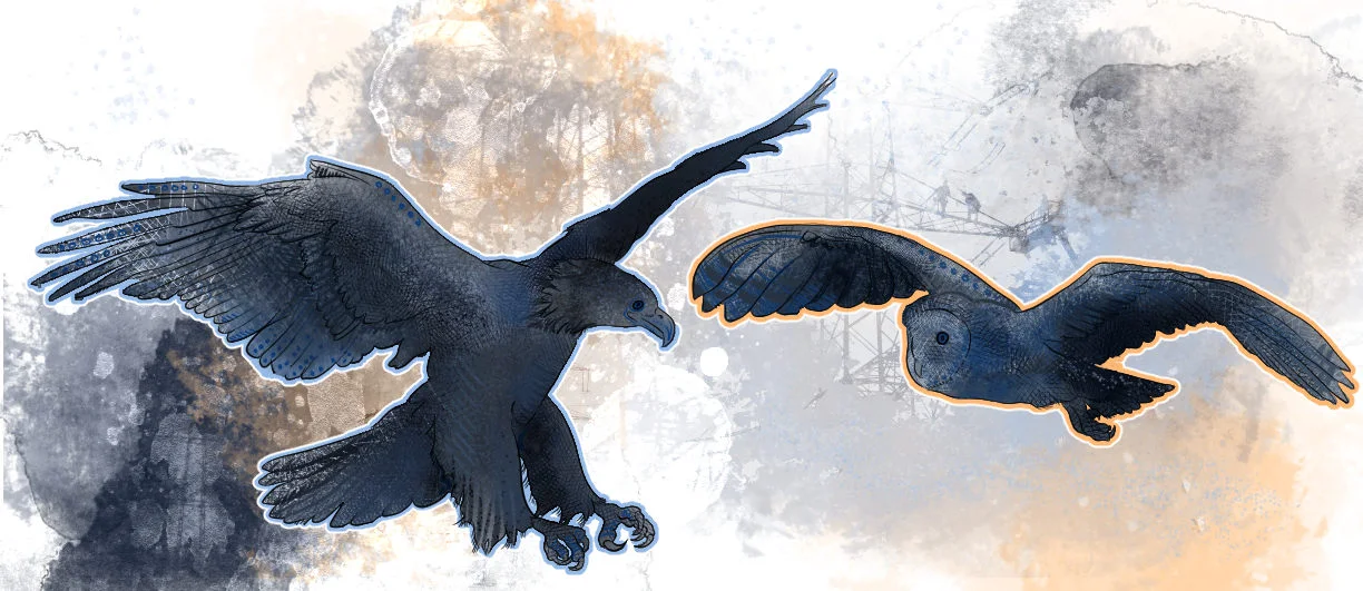 owl-eagle.jpg