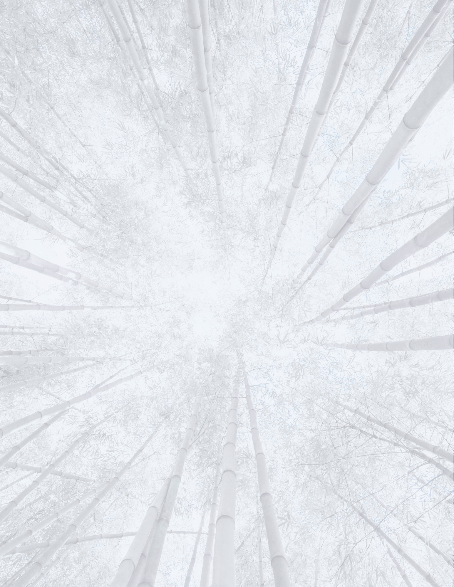Nuit Blanche 2026_Background.png