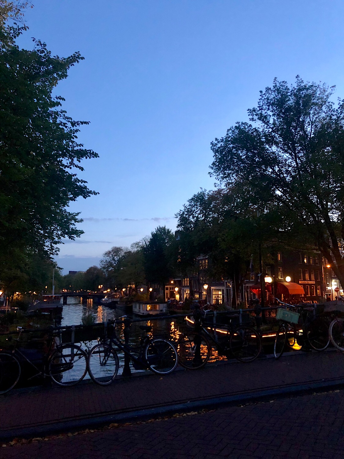 IMG_1648.jpeg