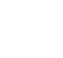 White Logo.png