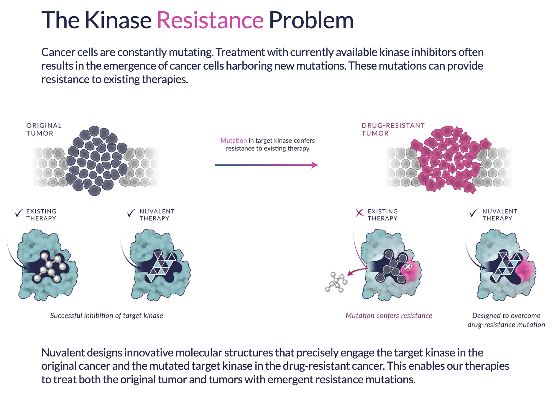 The New ALK Inhibitor: NVL-655 Expands Clinical Trial Sites — ALK POSITIVE