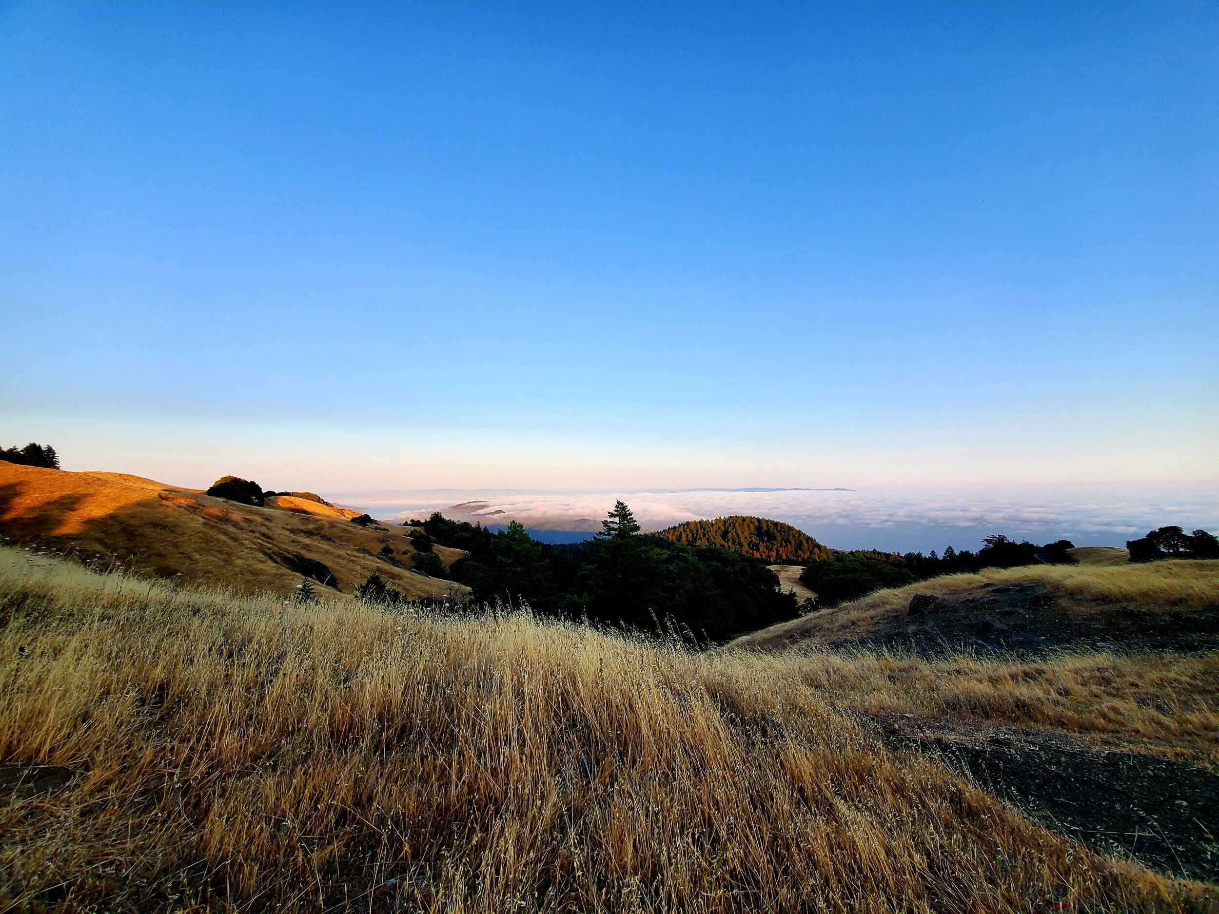 DD2376E4-A15E-4BA1-A985-CF9F6284336E