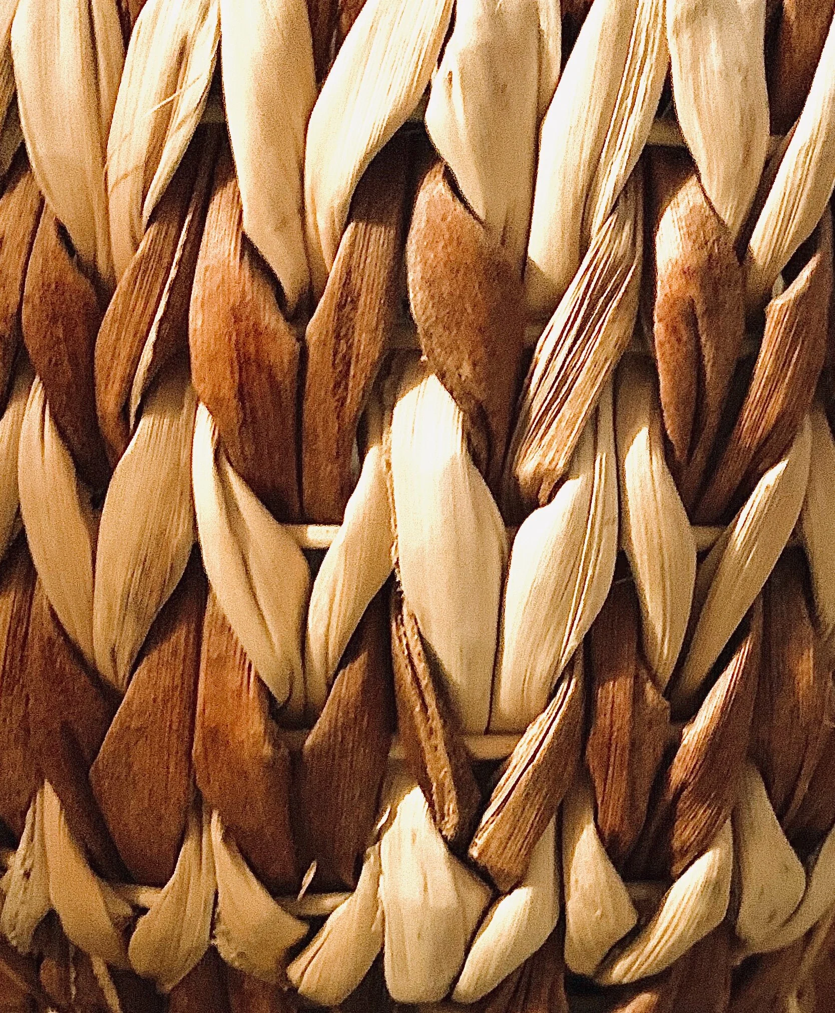 The Many Mysterious Childhoods of Jesus of Nazareth with Brian LePort, Ph.D.