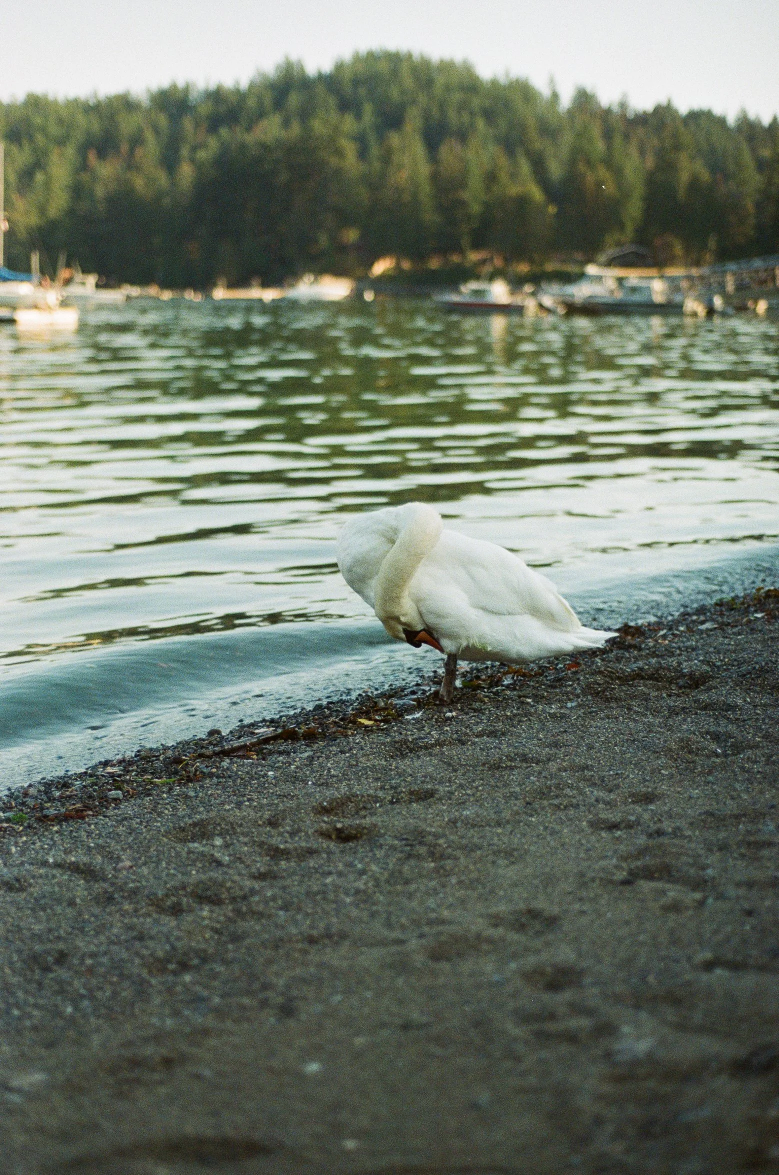 Nov10film-49.jpg