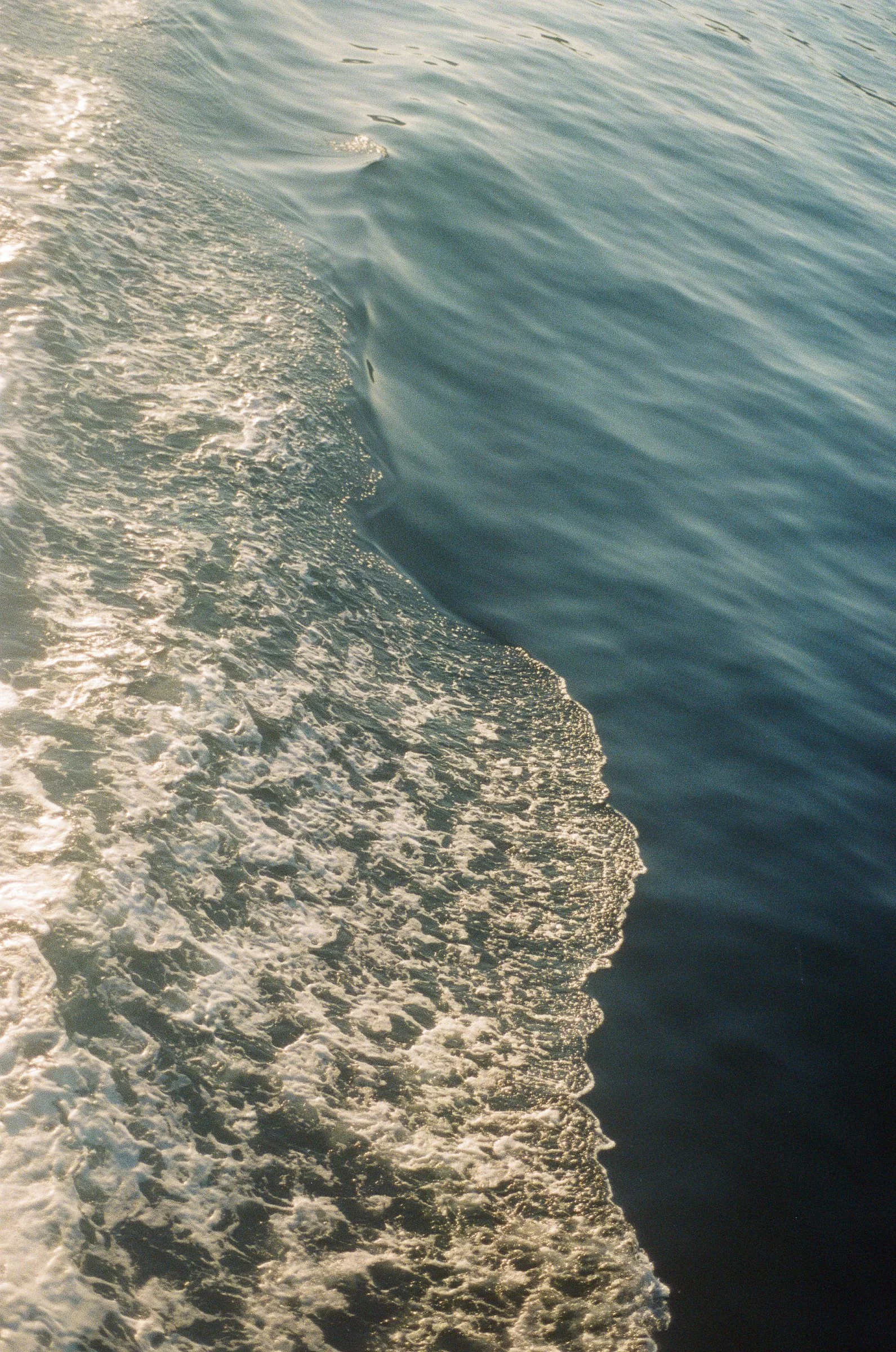 Nov10film-64.jpg