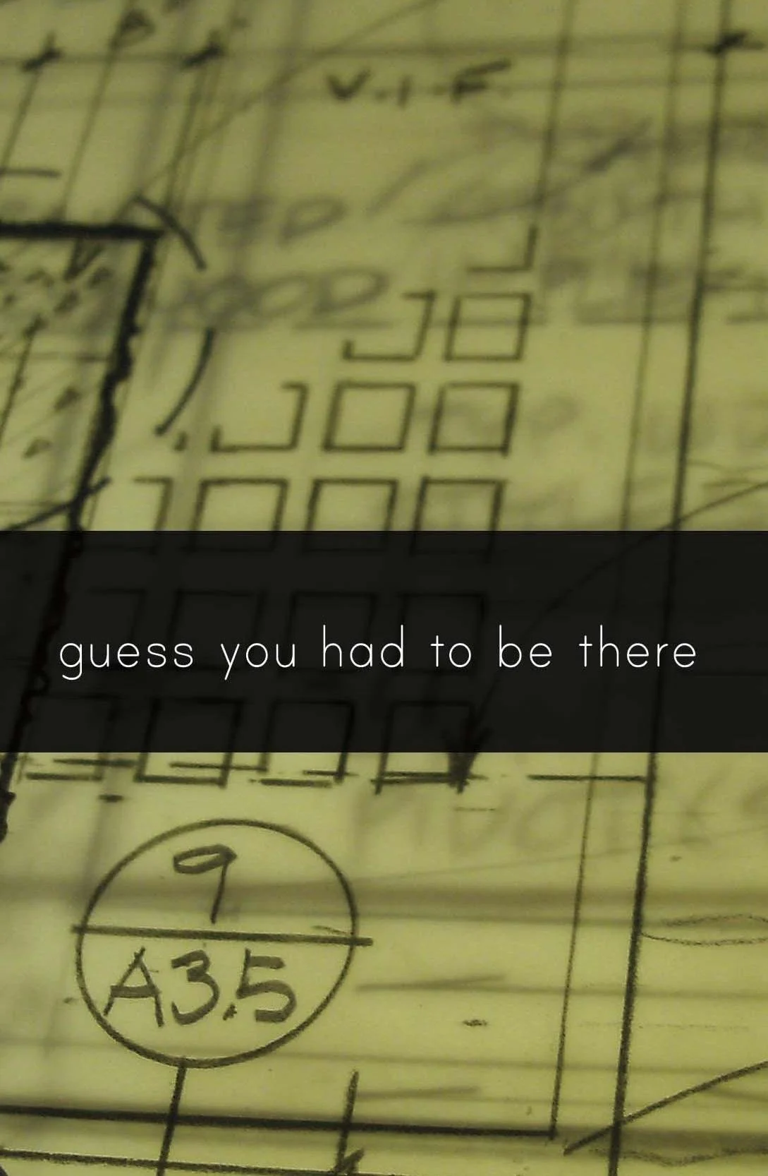 15 Professional Artists / Guess You Had To Be There