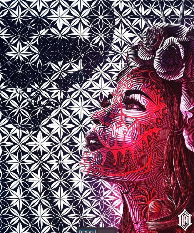 Ensemble of Lines- Alex Carmona