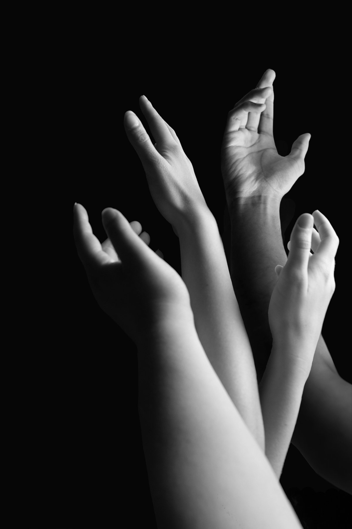 Reaching - Bradley University Photography Capstone Students