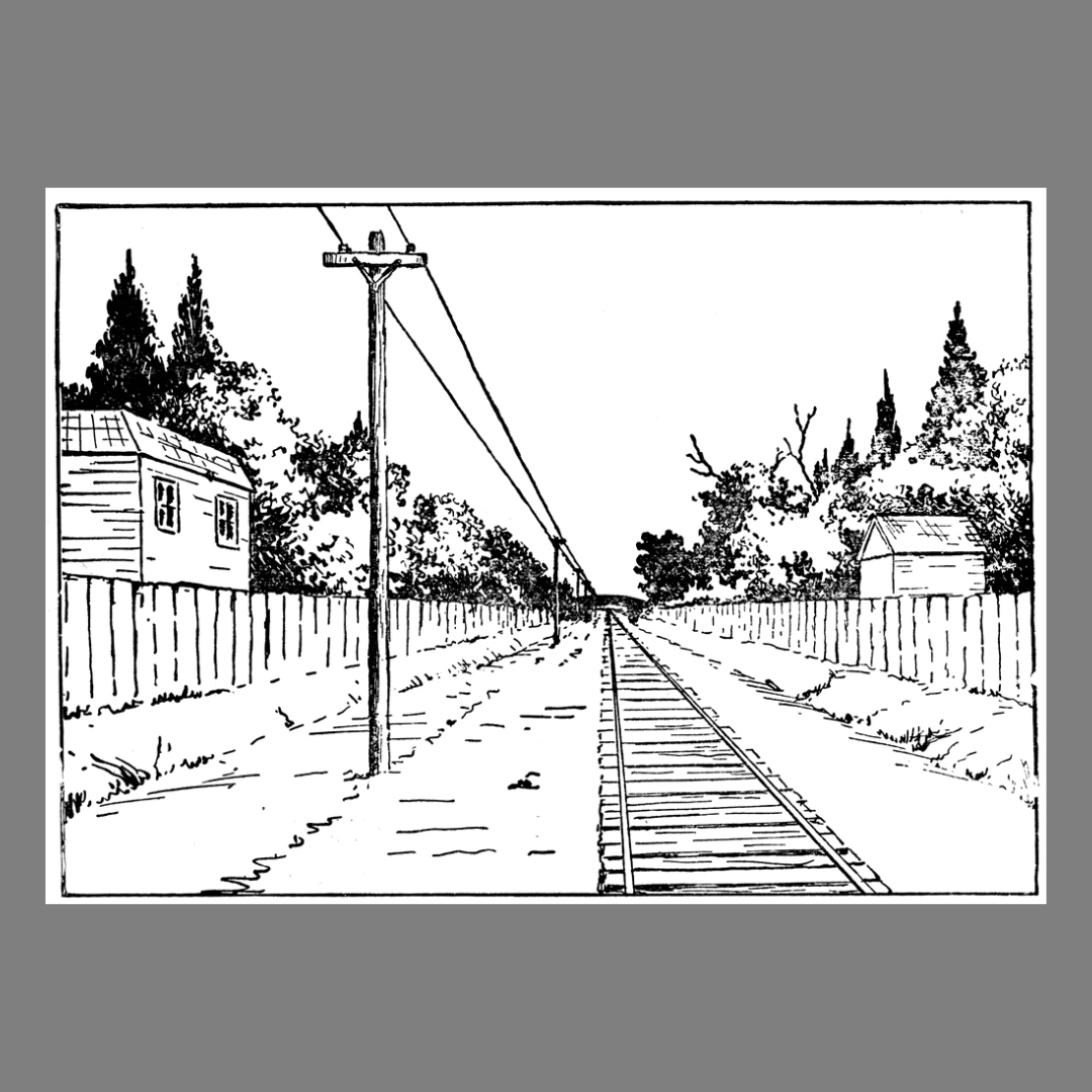 Basic Drawing for Adults