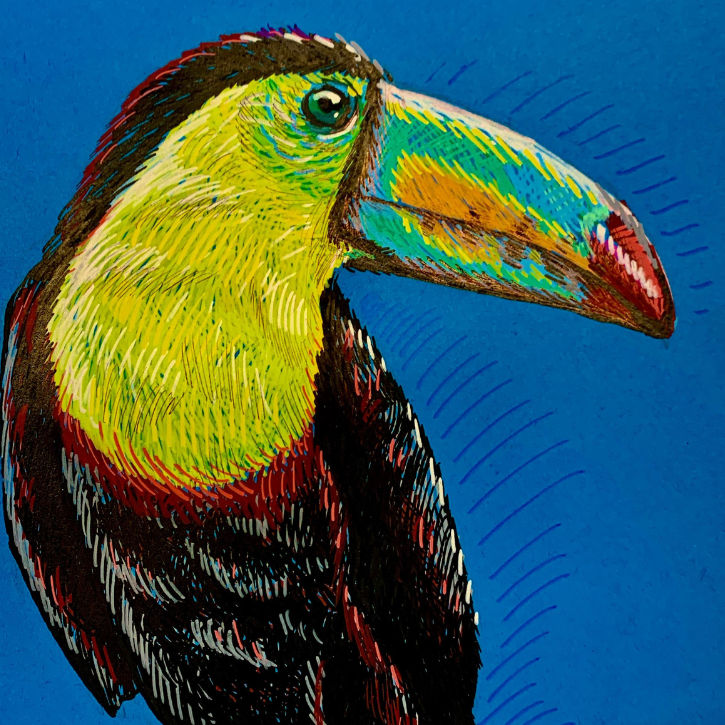 Paint Pen Animal Portraits Age 10-17