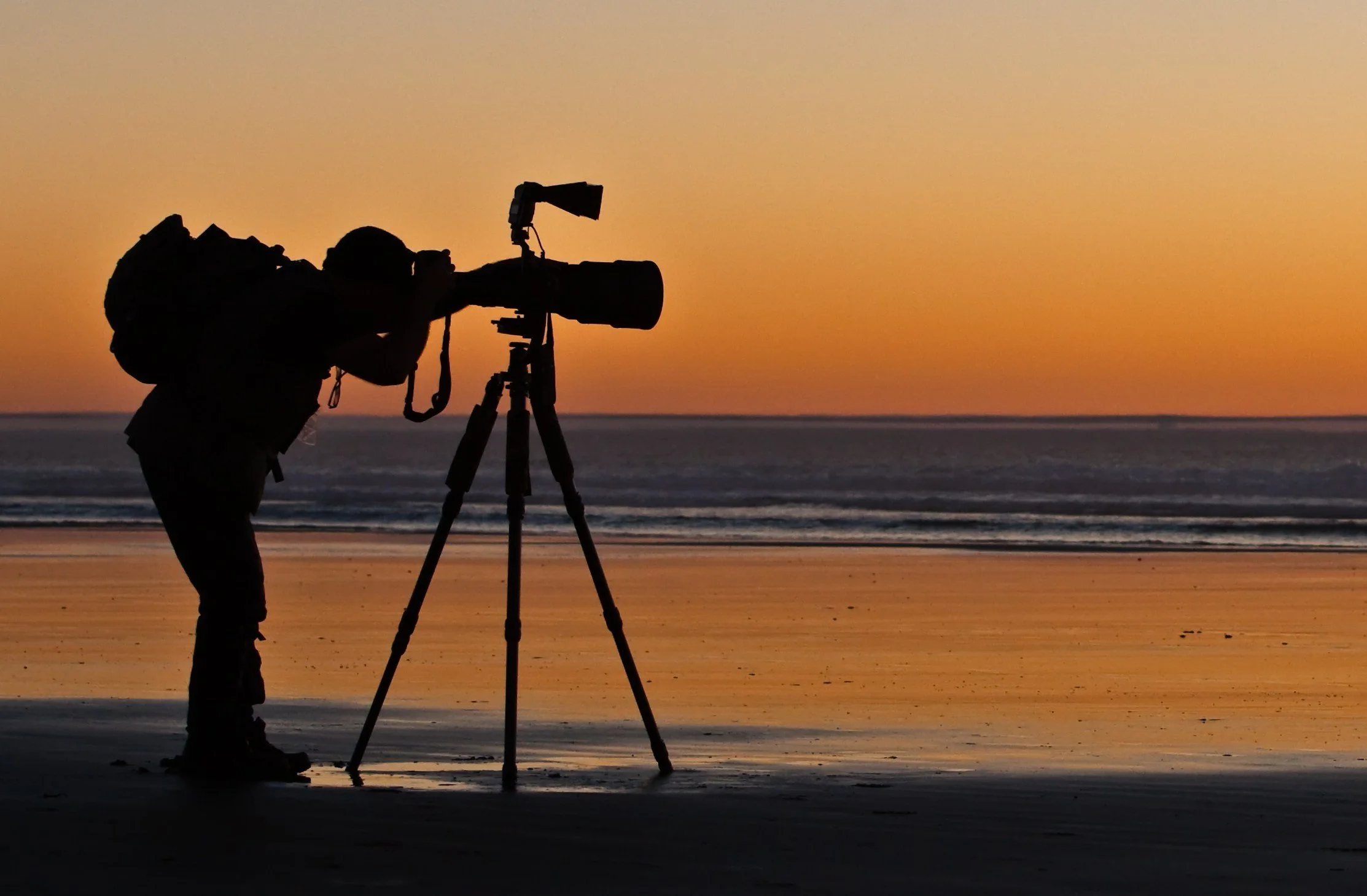 Beginner Photography
