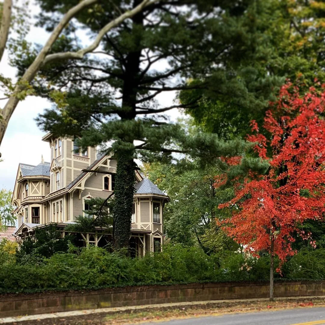 Photo Oct 28, 4 49 25 PM.jpg