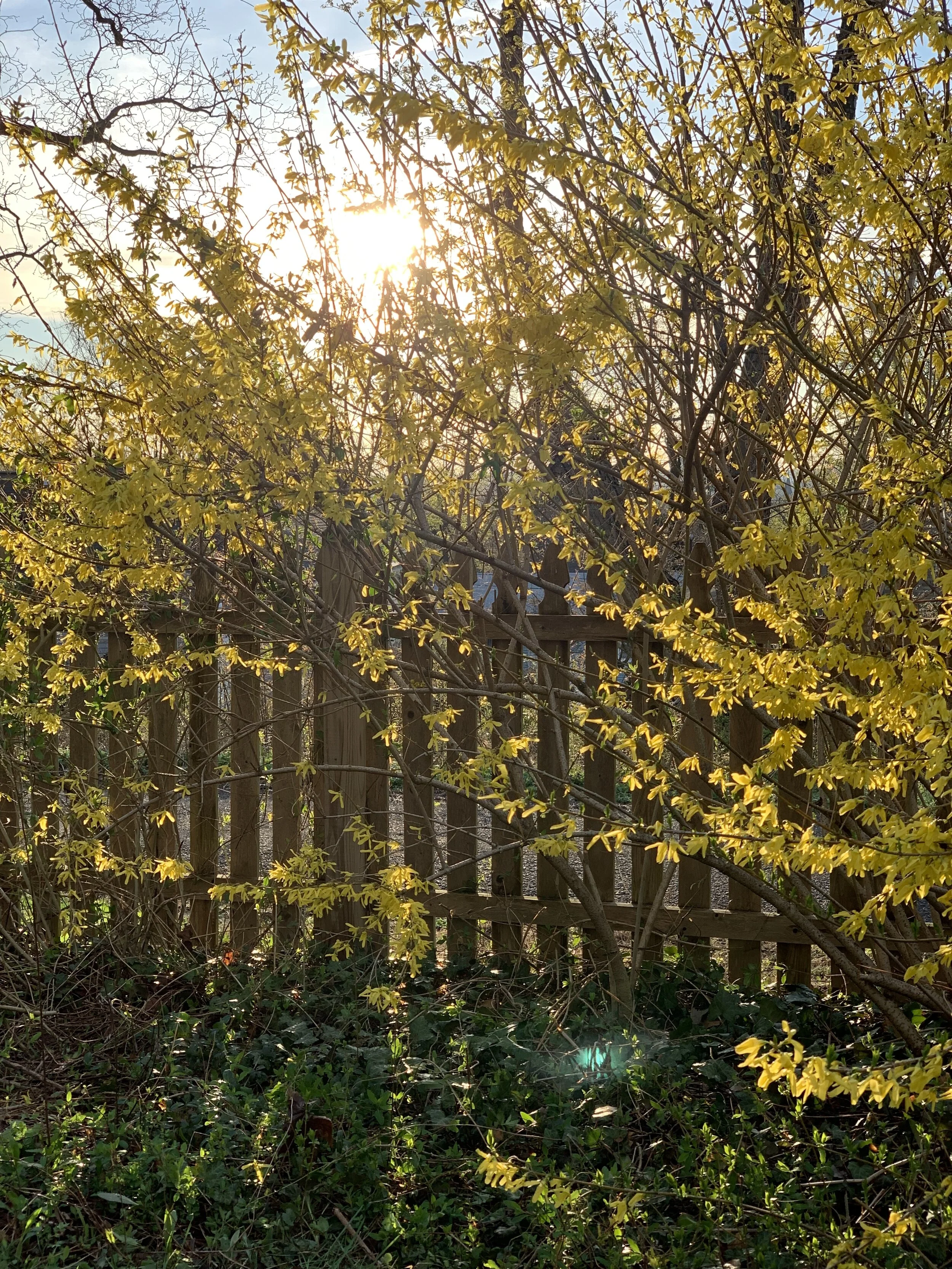 Photo Apr 21, 6 53 27 PM.jpg