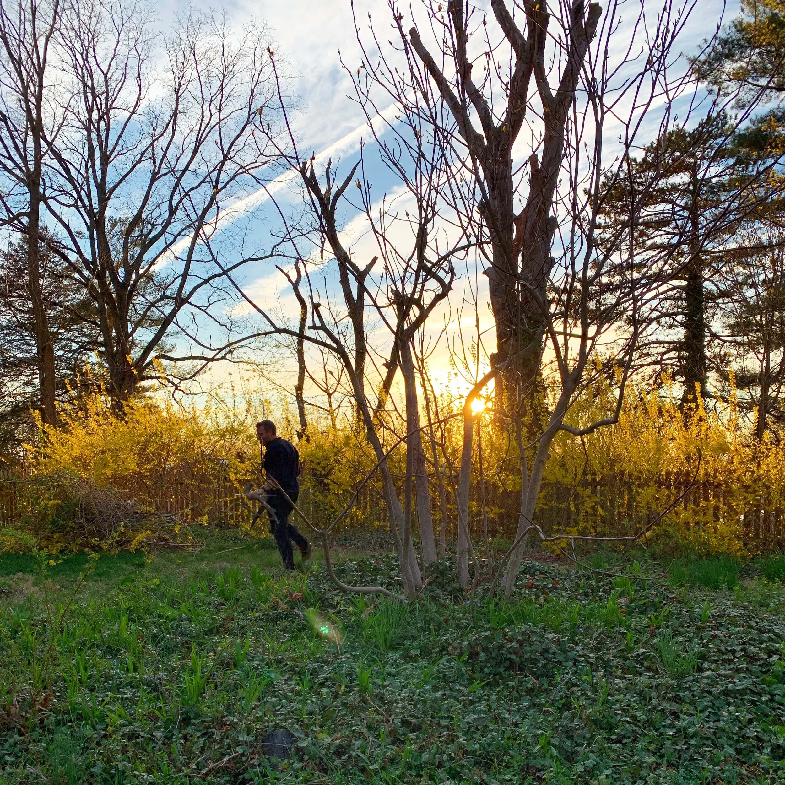 Photo Apr 21, 7 11 05 PM.jpg