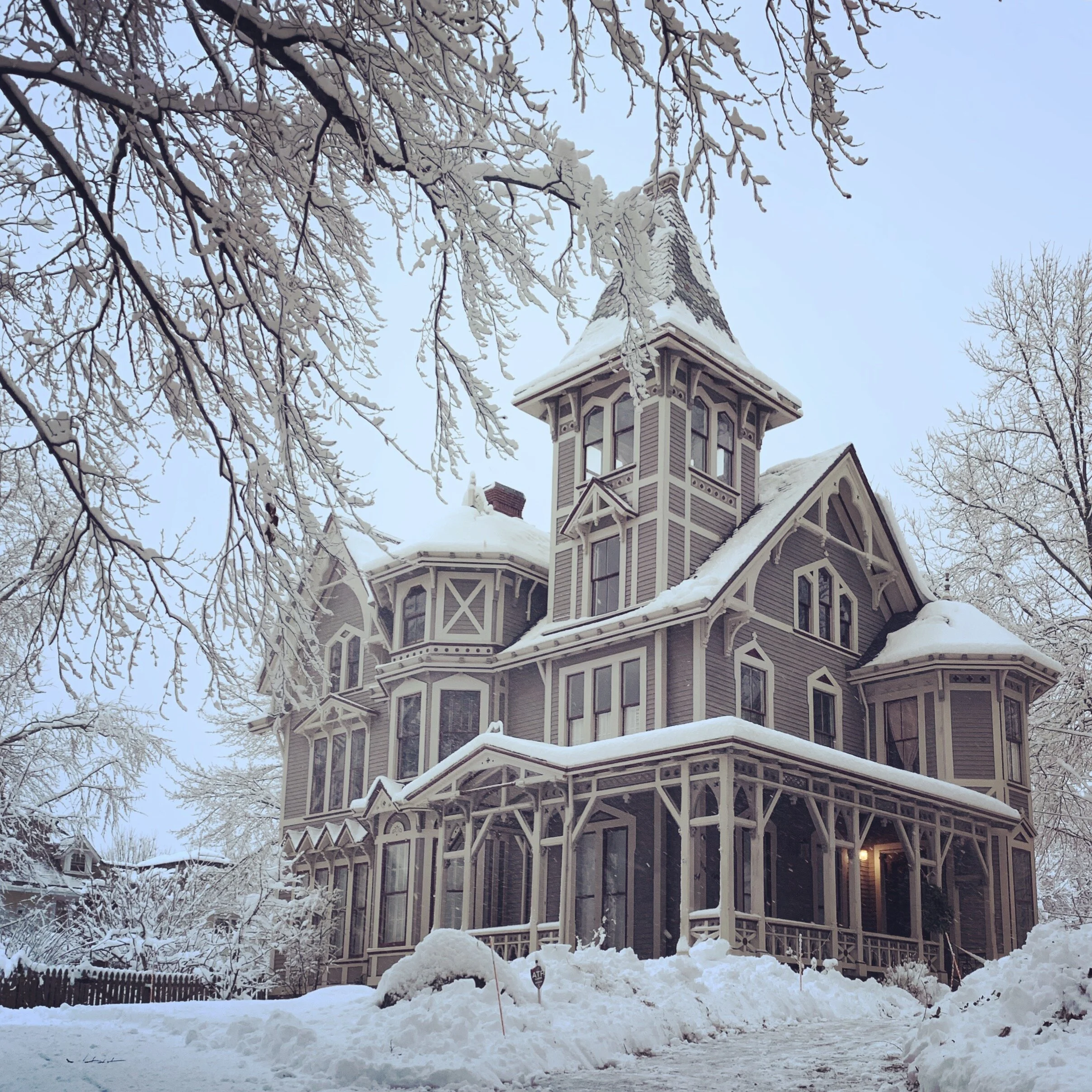 Photo Mar 04, 7 26 36 AM.jpg