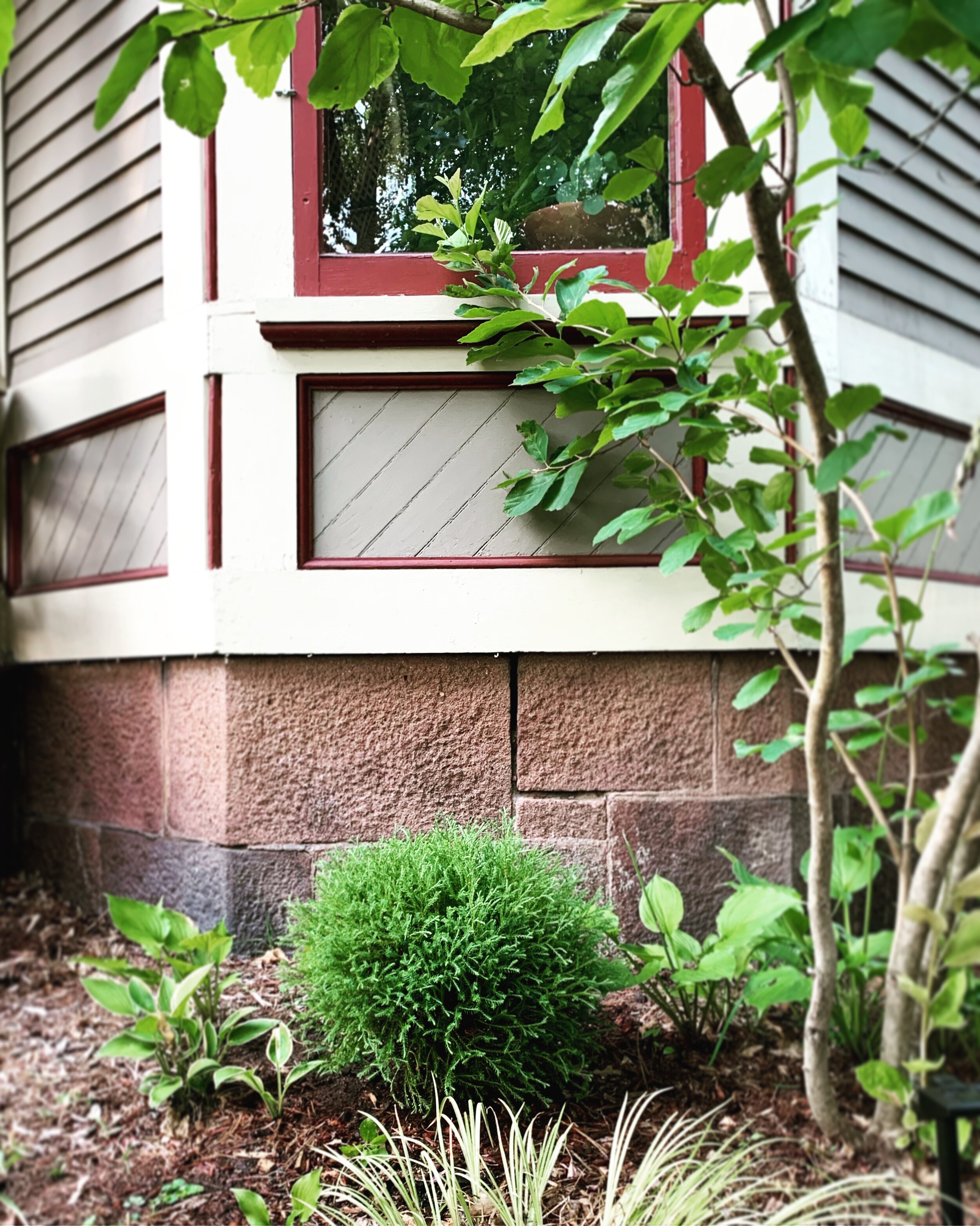 Photo Jul 28, 6 36 18 PM.jpg