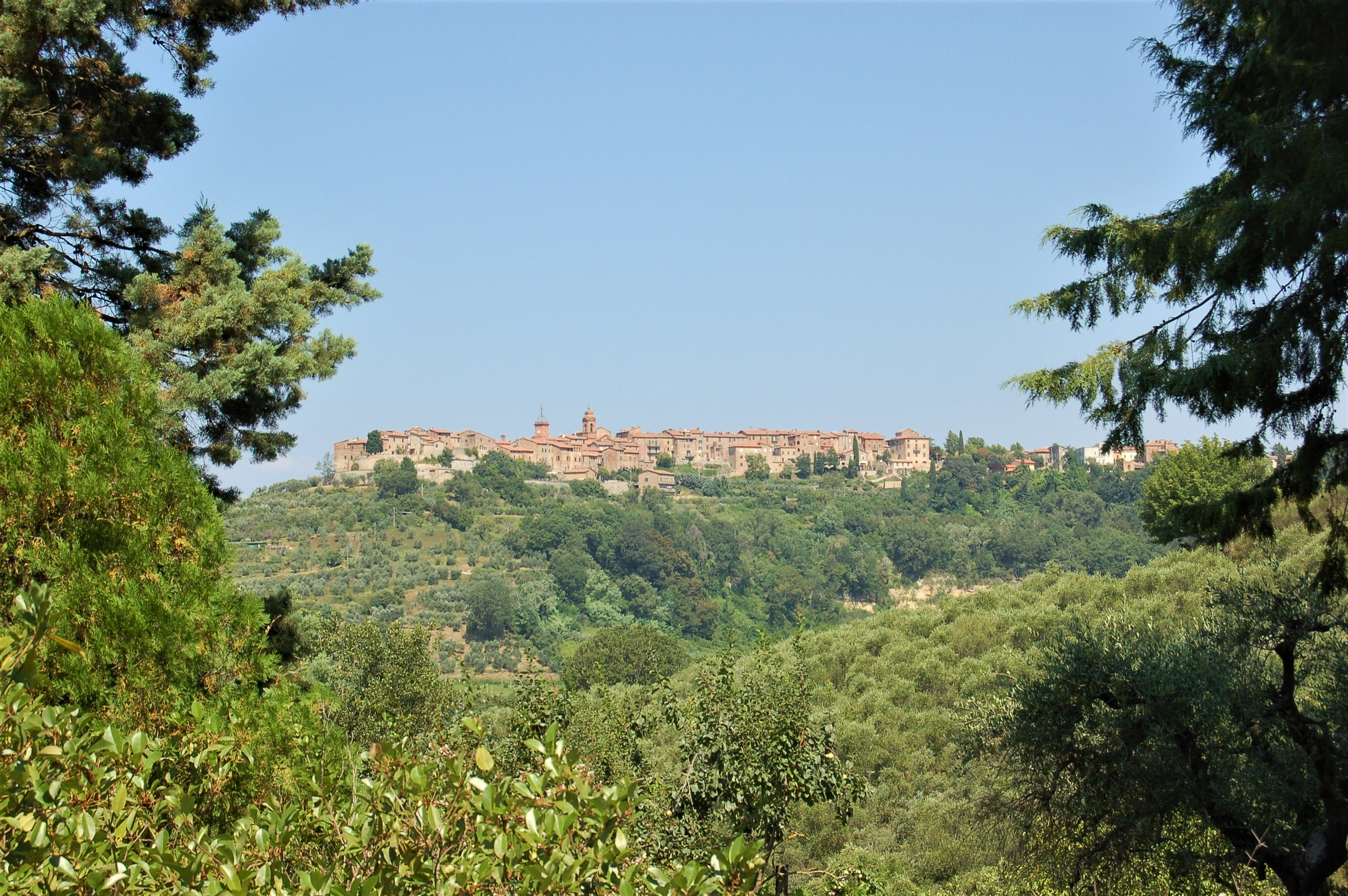  Monteleone d’Orvieto as seen from the house 