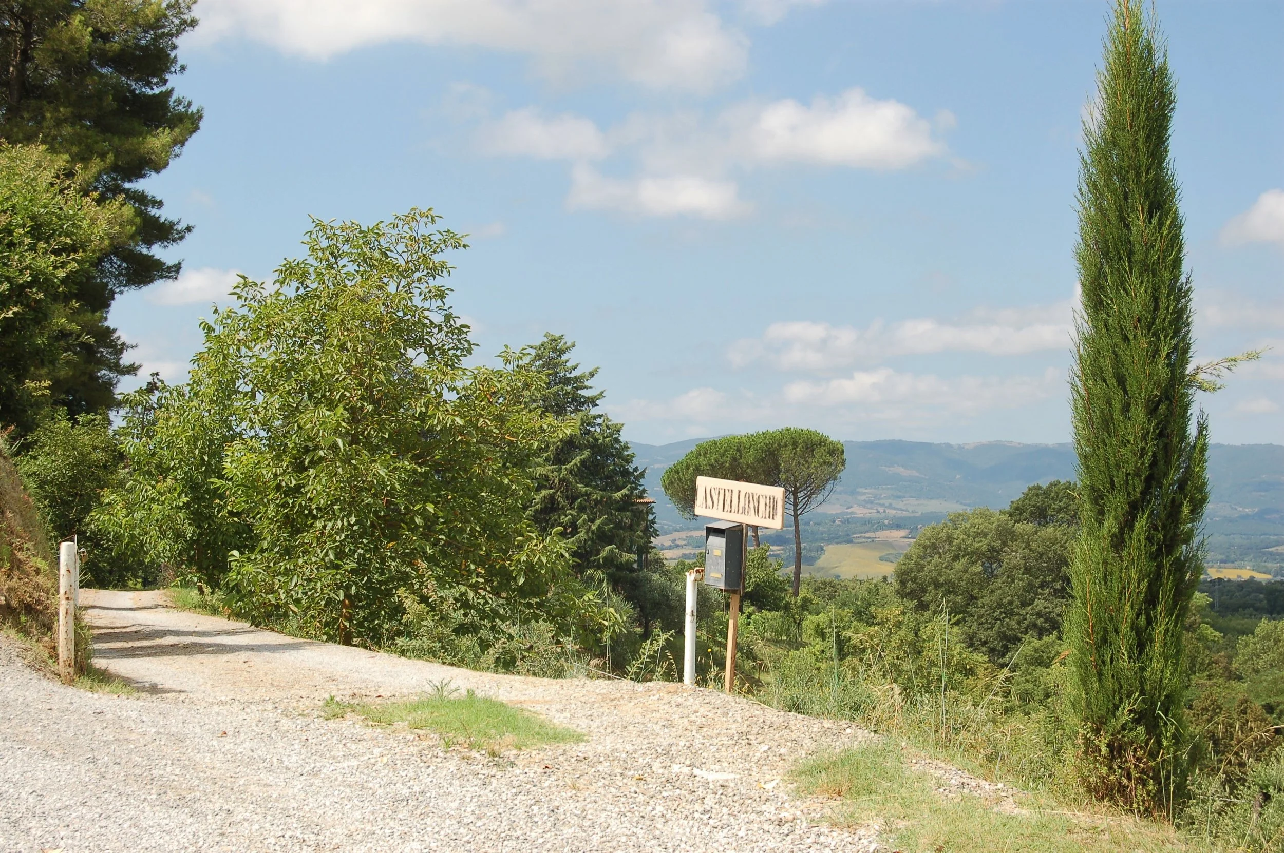 DSC_0060.jpg