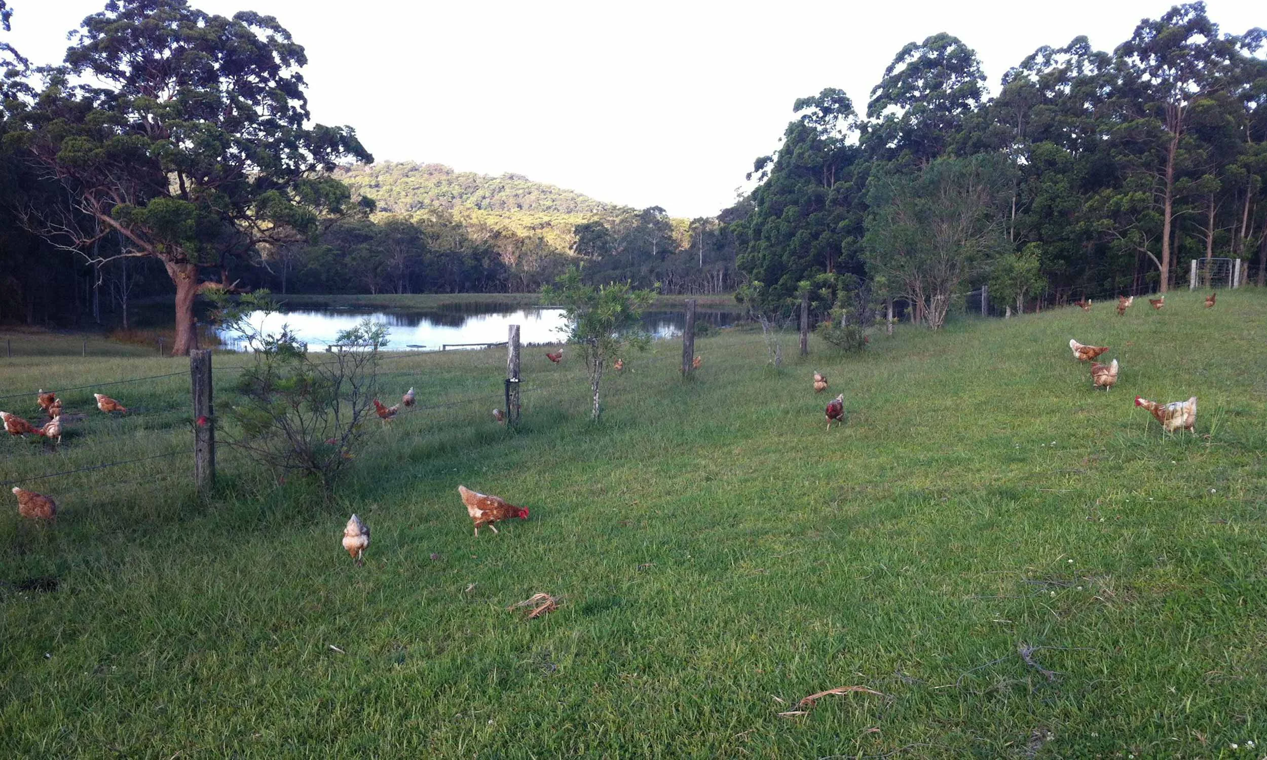 Life on the Open Range 