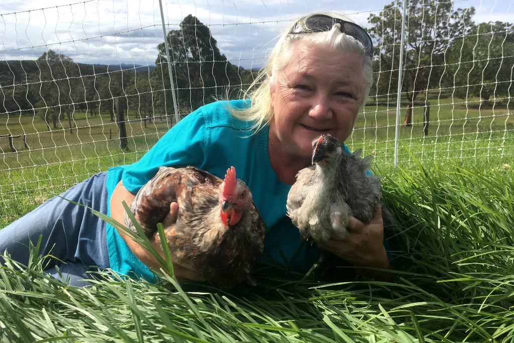 We love our chickens