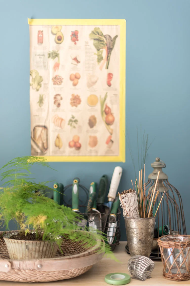 potting+area.jpg