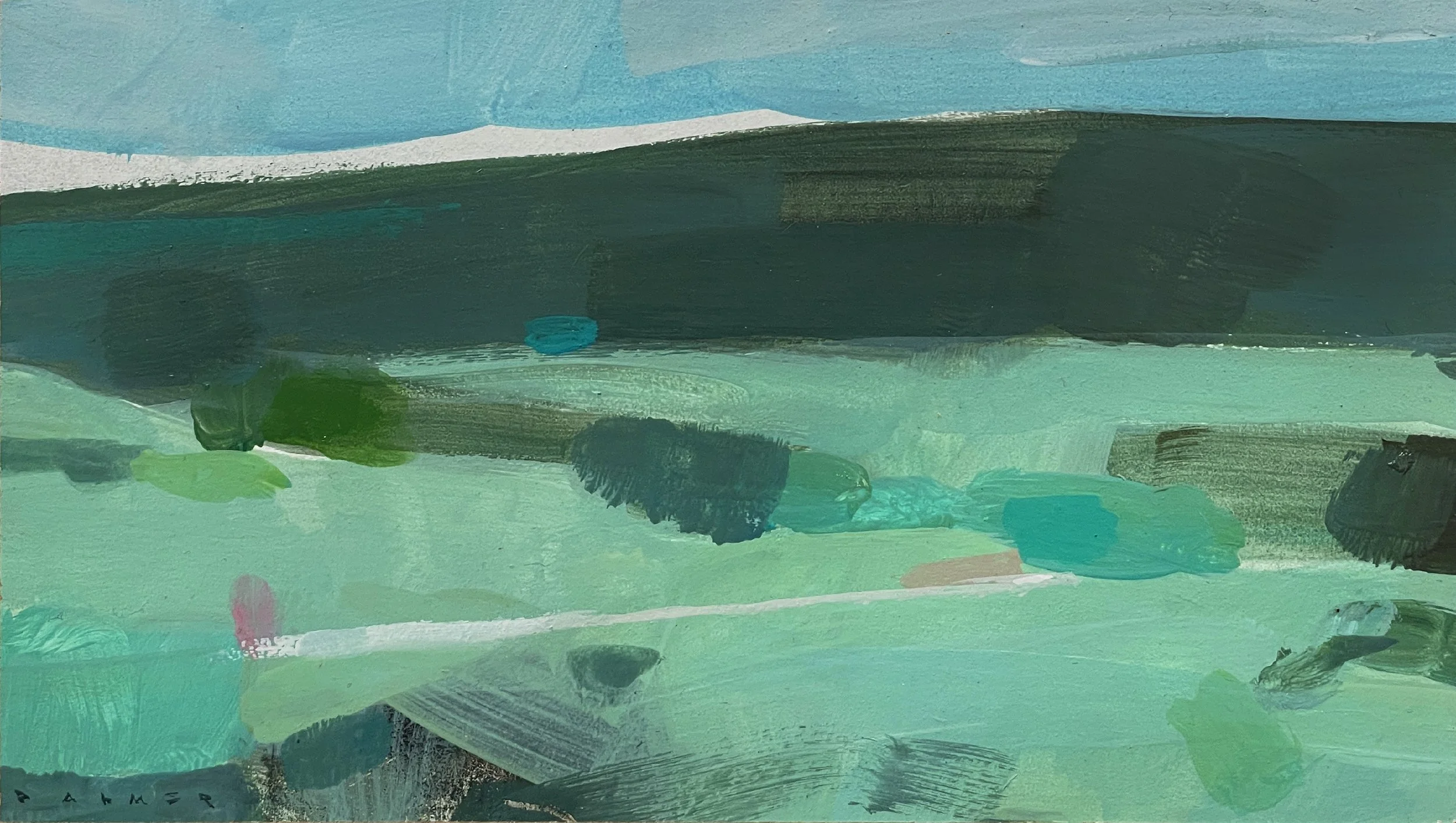 IRT-FrostedSlopes©SimonPalmer23x13cm-E1.jpg